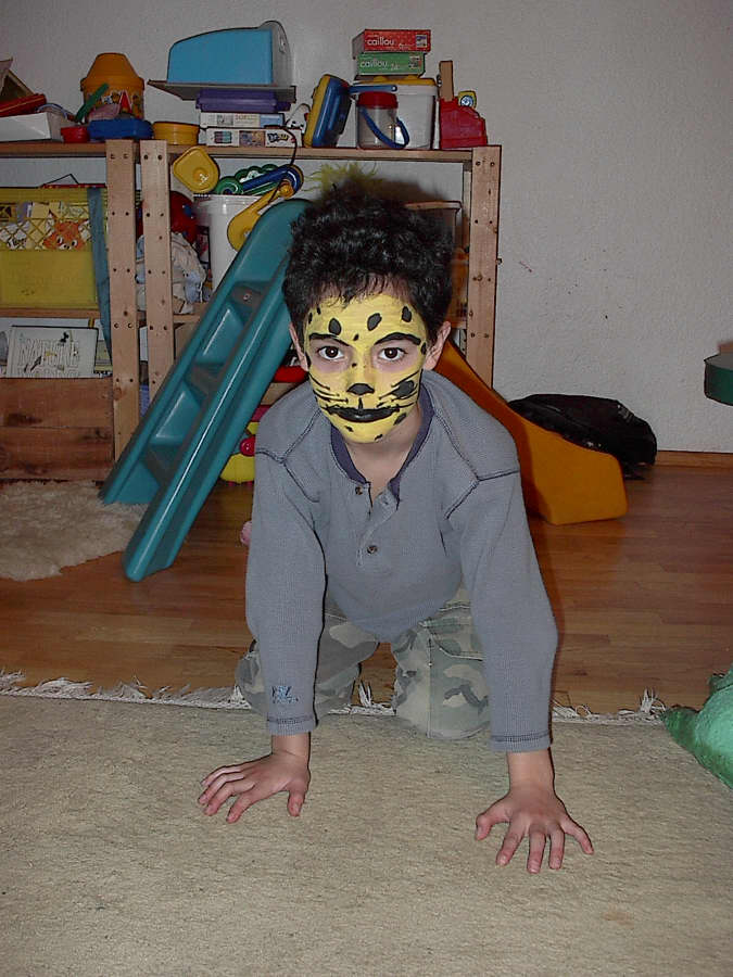 Image de Sashistan
